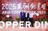 必维集团助力全球铜产业链绿色转型